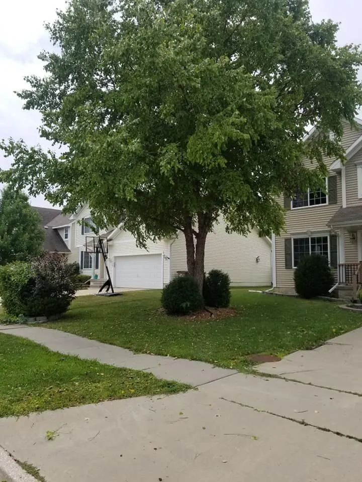 Professional landscaping services in Urbandale, IA by Eric's Mow N Guy