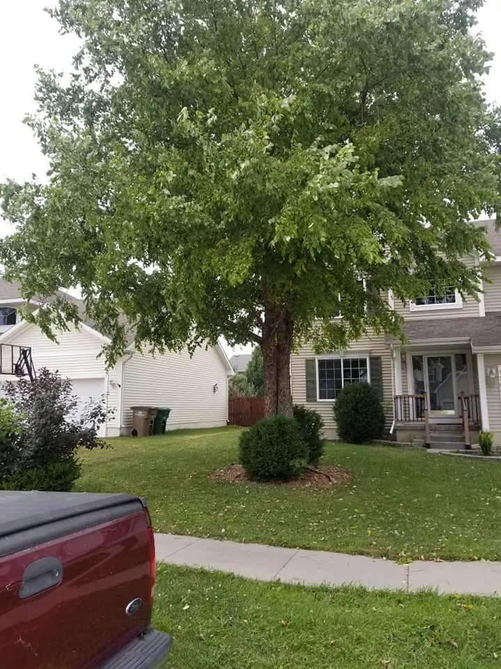 Local landscape installation experts serving Urbandale, IA - Eric's Mow N Guy