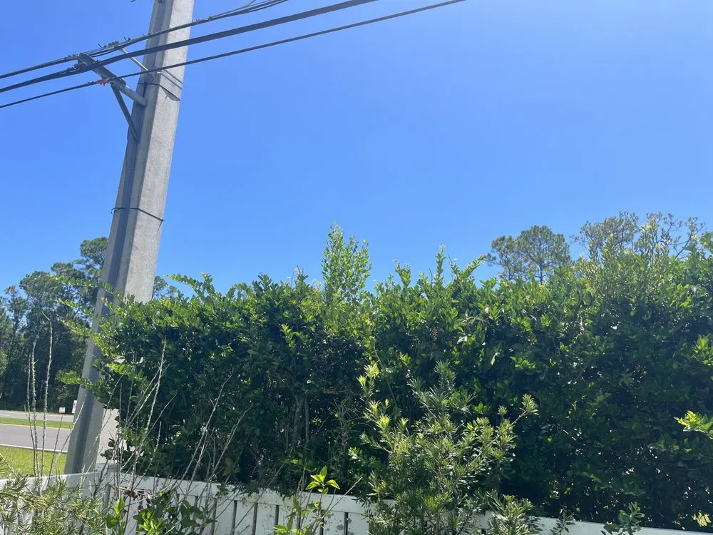 Local garden landscaping experts serving Palm Coast, FL - Erics Yard Maintenance