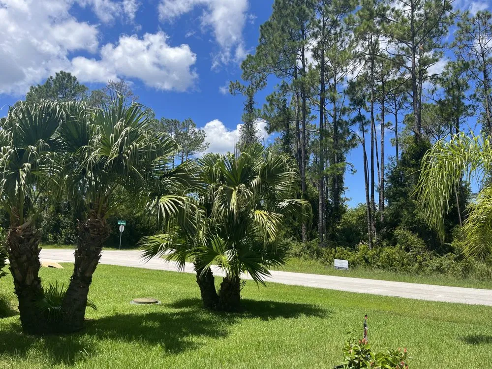 Professional landscape installation in Palm Coast, FL - Erics Yard Maintenance