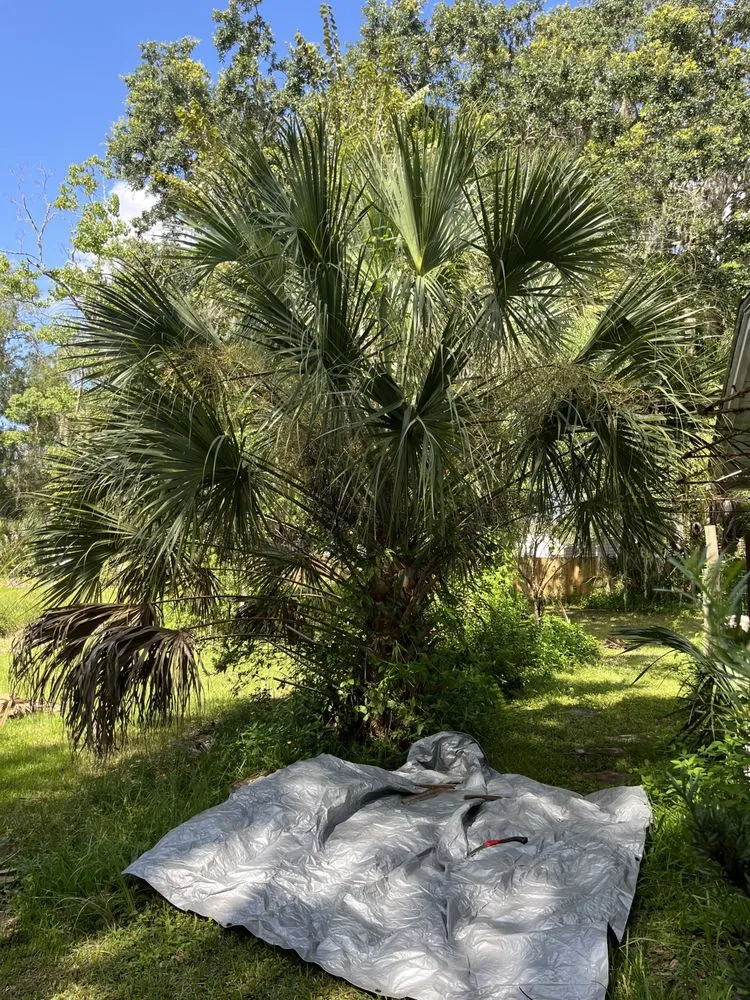 Trusted outdoor landscaping in Palm Coast, FL - Erics Yard Maintenance