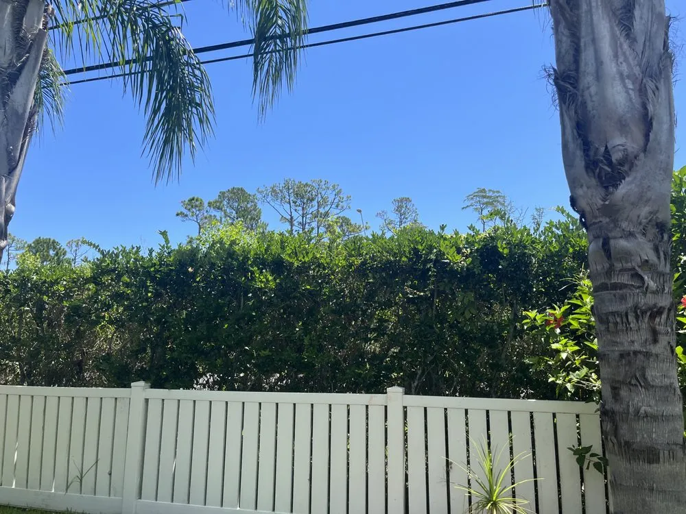 Expert outdoor landscaping for homes in Palm Coast, FL by Erics Yard Maintenance