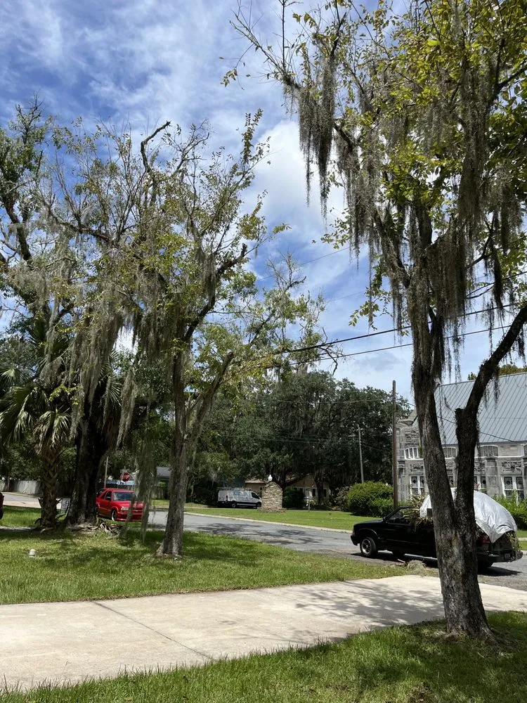 Top-rated garden landscaping experts serving Palm Coast, FL - Erics Yard Maintenance