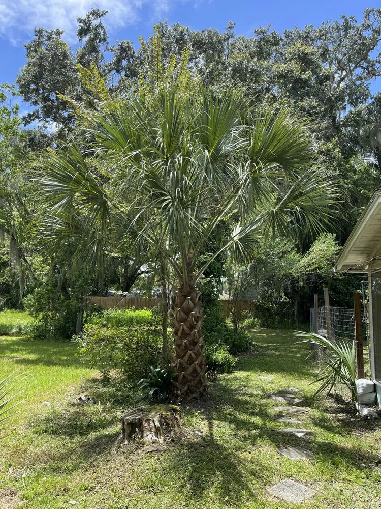 Top-rated garden landscaping in Palm Coast, FL by Erics Yard Maintenance