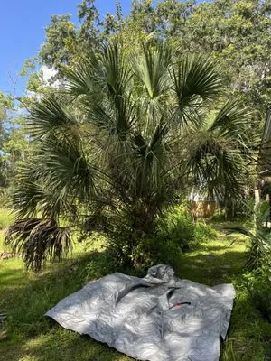 Erics Yard Maintenance Logo