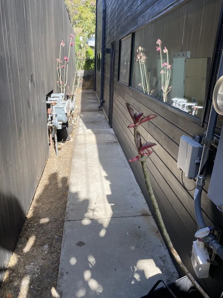 Expert yard maintenance in Los Angeles, CA - Eric’s Yard Work