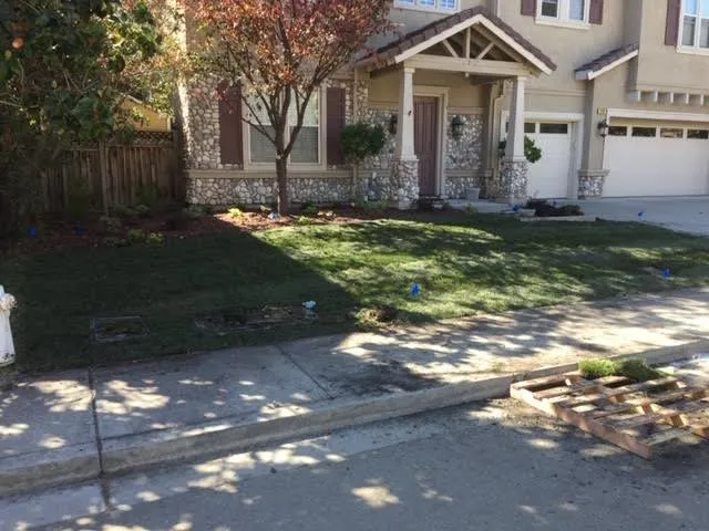 Professional garden landscaping in San Leandro, CA - Ericson's Landscaping and Gardening Services