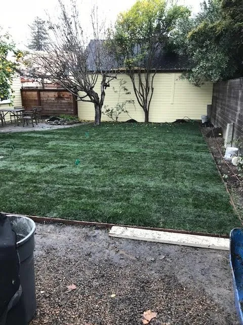 Local yard maintenance in San Leandro, CA by Ericson's Landscaping and Gardening Services