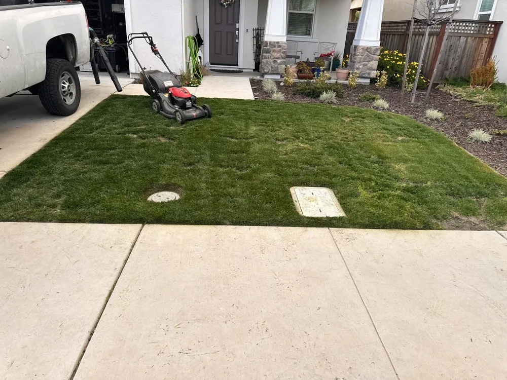 Professional outdoor landscaping in San Leandro, CA by Ericson's Landscaping and Gardening Services