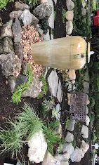 Local garden landscaping for beautiful yards across Mount Sinai, NY - Erie Bros. Maintenance & Landscaping