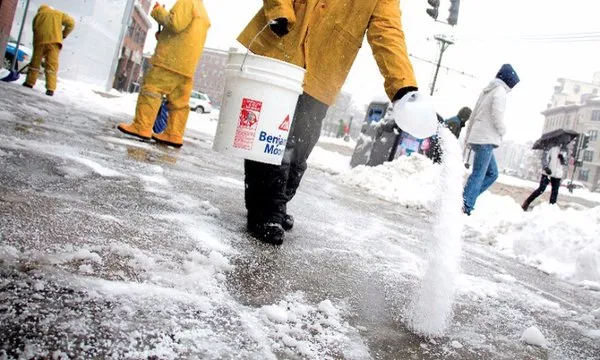 Erie Landscaping Logo