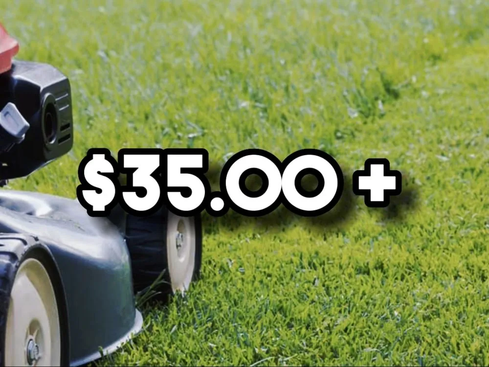 Professional lawn care service in Erie, CO - Erie Lawn Boys