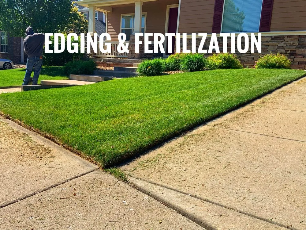 Reliable lawn care service in Erie, CO - Erie Lawn Boys