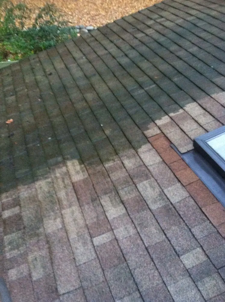 Custom landscape design experts serving Erie, PA - Erie Outdoor Services