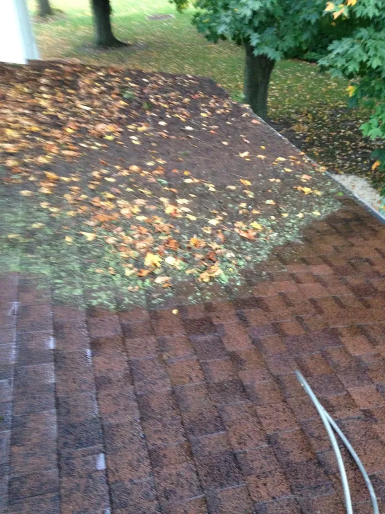 Trusted yard cleanup service with custom design in Erie, PA by Erie Outdoor Services