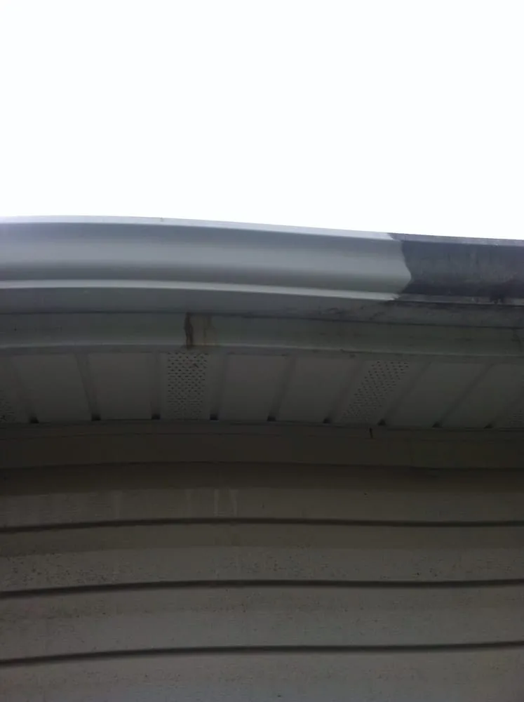 Local yard cleanup service for residential properties in Erie, PA by Erie Outdoor Services