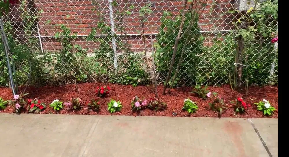 Professional yard maintenance in Jamaica, NY - Erik Maldonado Landscaping