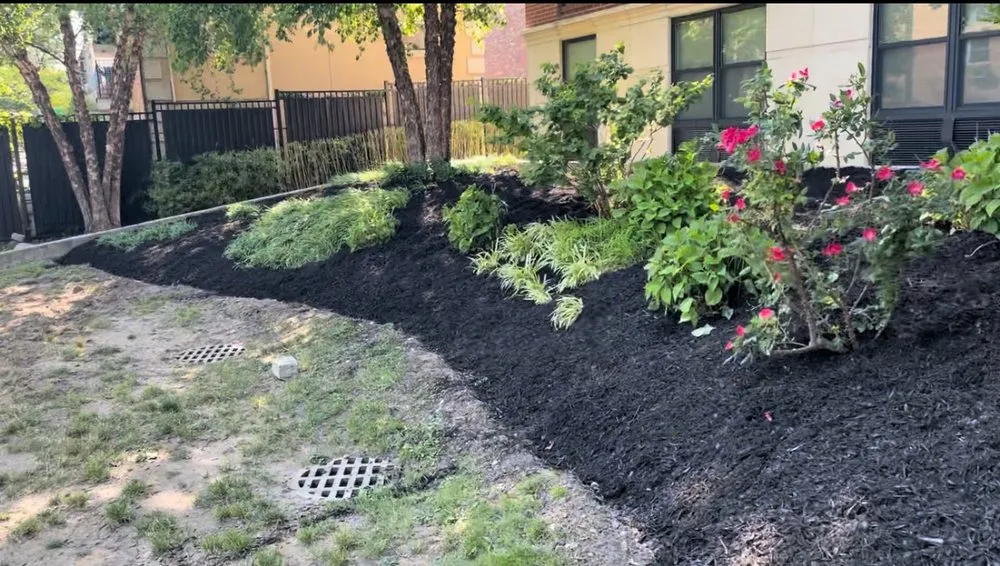 Affordable garden landscaping in Jamaica, NY by Erik Maldonado Landscaping