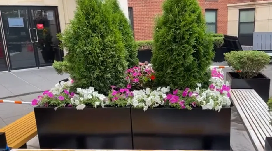 Local lawn care service in Jamaica, NY - Erik Maldonado Landscaping