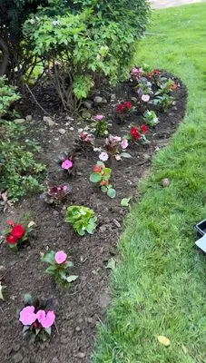 Erik Maldonado Landscaping