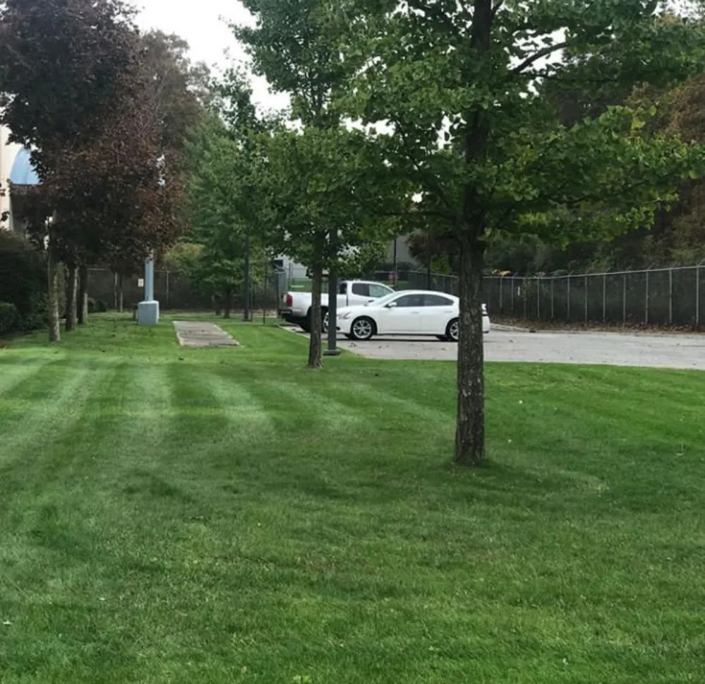 Professional residential landscaping for beautiful yards across Garwood, TX - Erik Services