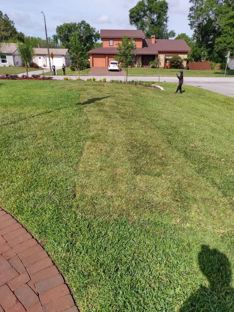 Trusted residential landscaping for residential properties across Tampa, FL - Erikeiber Tree Service