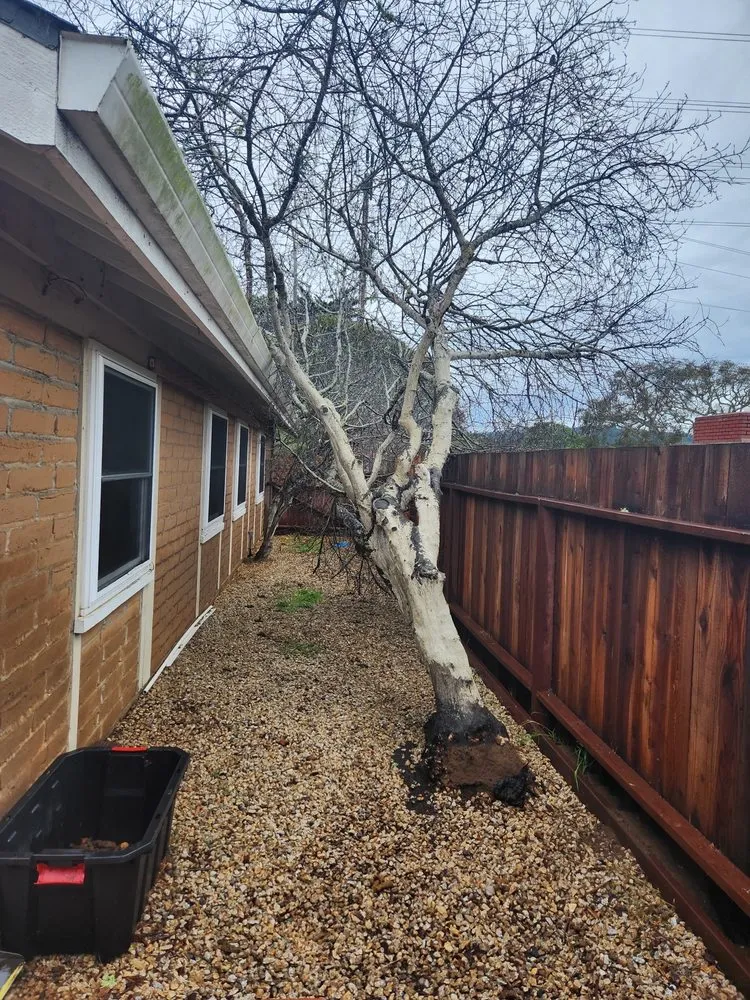 Affordable lawn mowing service in Seaside, CA - Erik’s Junk Express And Lawn Care solutions