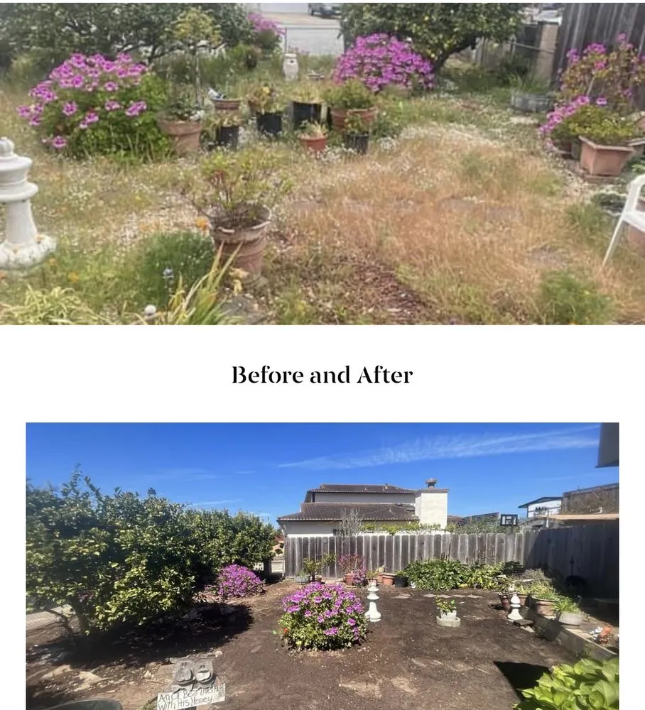 Local yard maintenance in Seaside, CA by Erik’s Junk Express And Lawn Care solutions