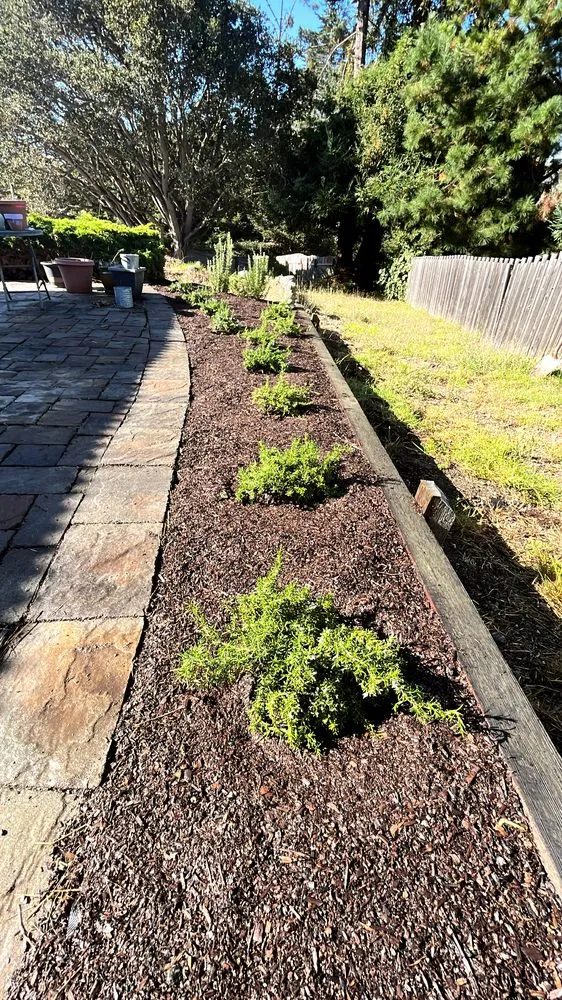 Reliable yard cleanup service in Seaside, CA - Erik’s Junk Express And Lawn Care solutions