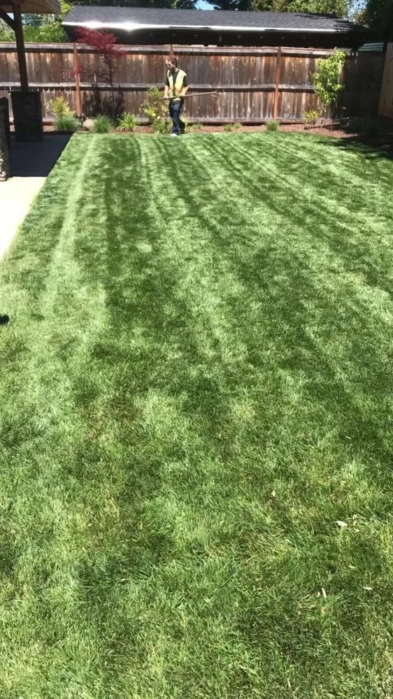 Top-rated yard maintenance in White City, OR - Eriks Landscape Maintenance