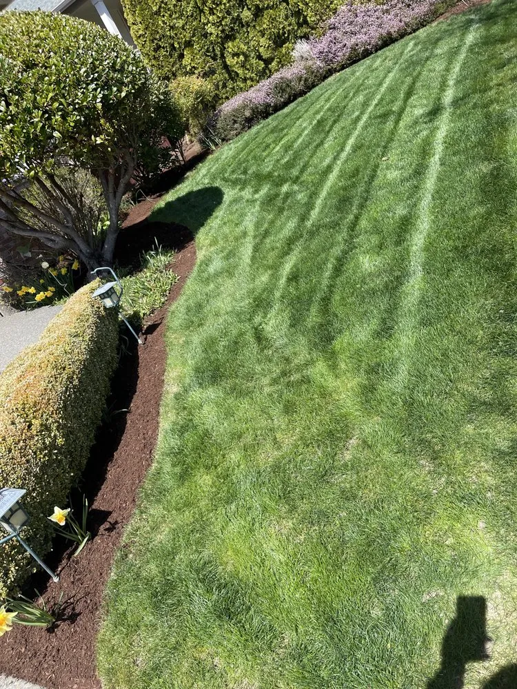 Top-rated yard cleanup service in White City, OR by Eriks Landscape Maintenance