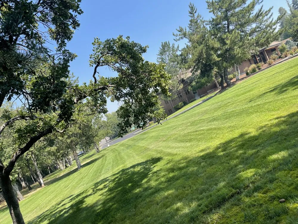 Professional residential landscaping experts serving White City, OR - Eriks Landscape Maintenance