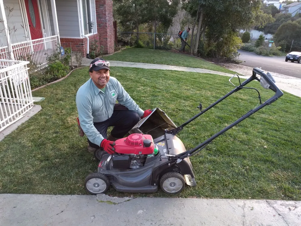 Affordable yard cleanup service in Castro Valley, CA - Erik's Landscaping and Gardening Services