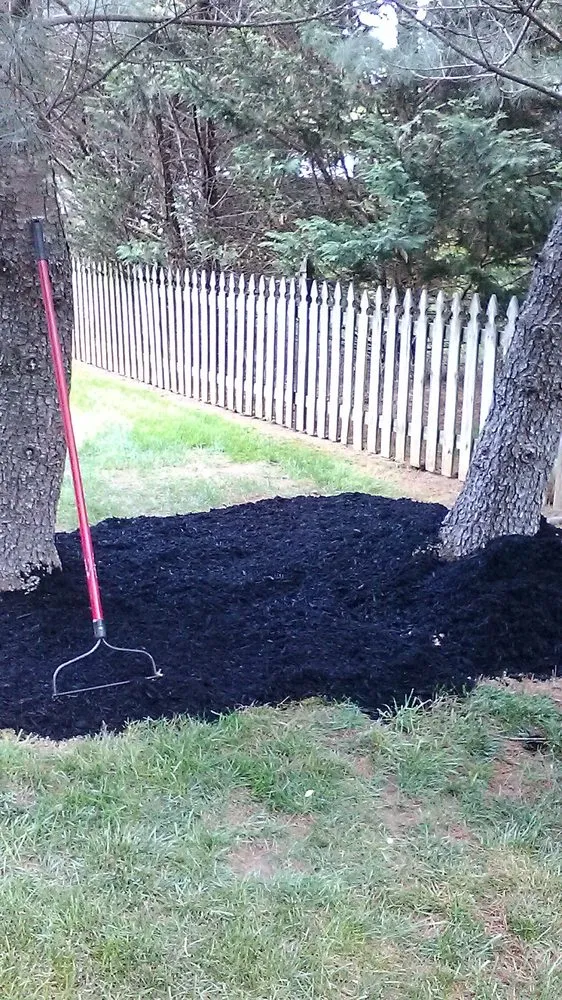 Expert landscape design in Dundalk, MD by Eriks lawn care