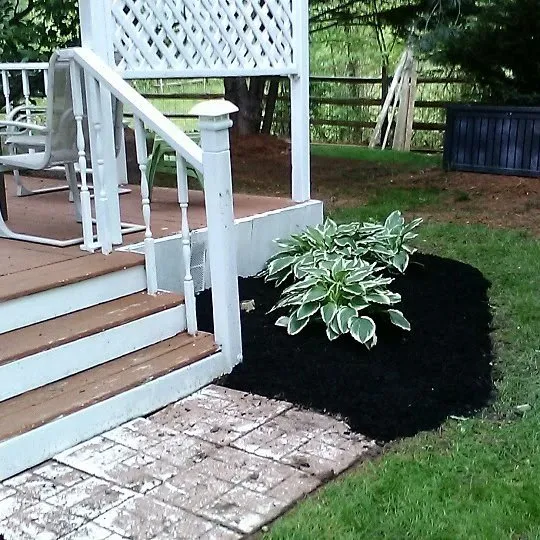 Expert yard cleanup service for homes across Dundalk, MD - Eriks lawn care