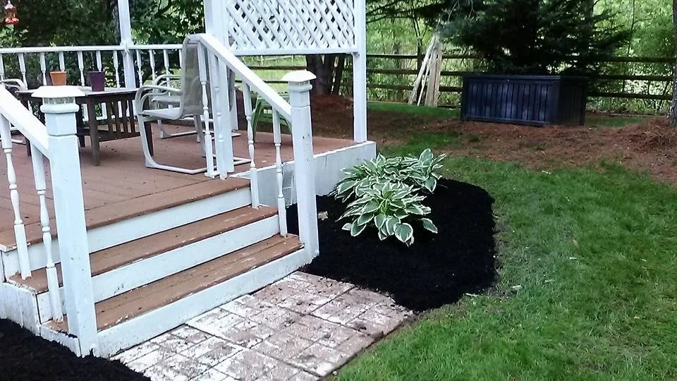 Affordable landscaping services in Dundalk, MD by Eriks lawn care