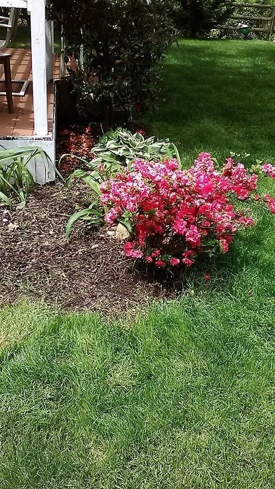 Top-rated landscape design experts serving Dundalk, MD - Eriks lawn care