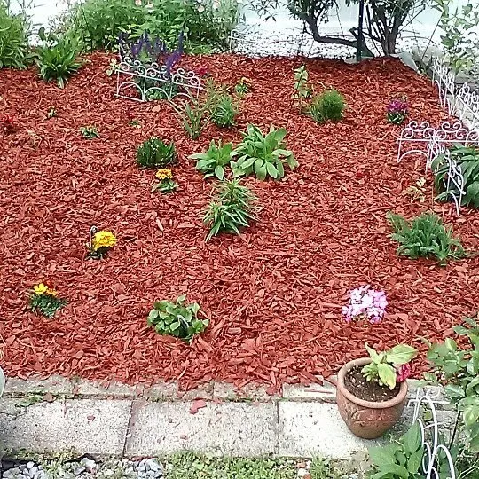 Local lawn mowing service for year-round maintenance across Dundalk, MD - Eriks lawn care