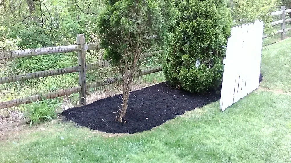 Local outdoor landscaping for homes across Dundalk, MD - Eriks lawn care