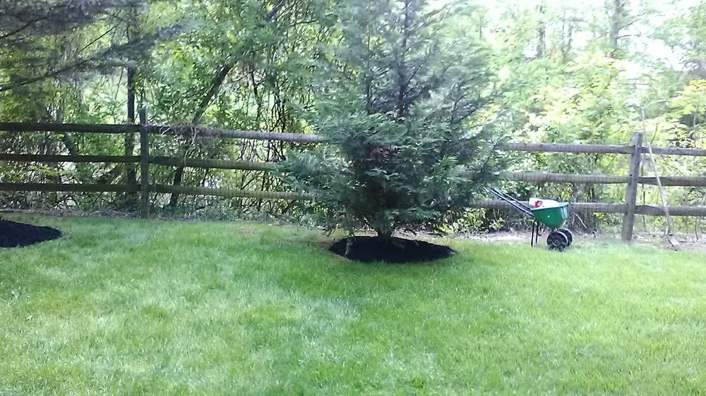 Local residential landscaping experts serving Dundalk, MD - Eriks lawn care