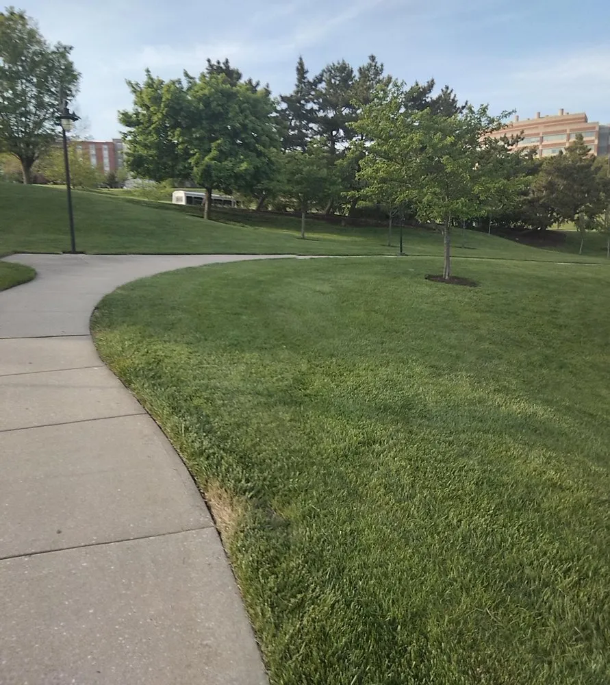 Local outdoor landscaping experts serving Dundalk, MD - Eriks lawn care