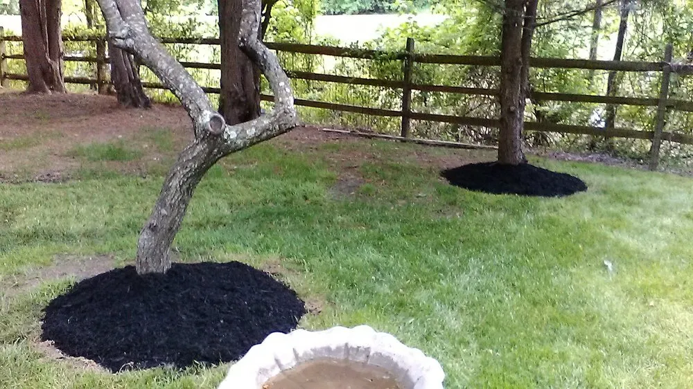 Trusted yard cleanup service for outdoor upgrades across Dundalk, MD - Eriks lawn care