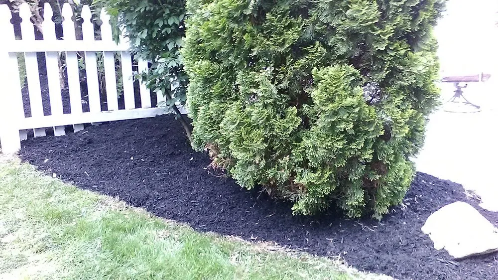 Trusted lawn care service in Dundalk, MD - Eriks lawn care