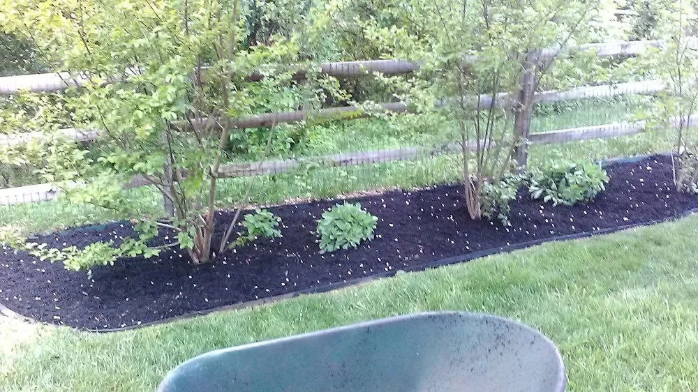 Trusted lawn mowing service in Dundalk, MD by Eriks lawn care