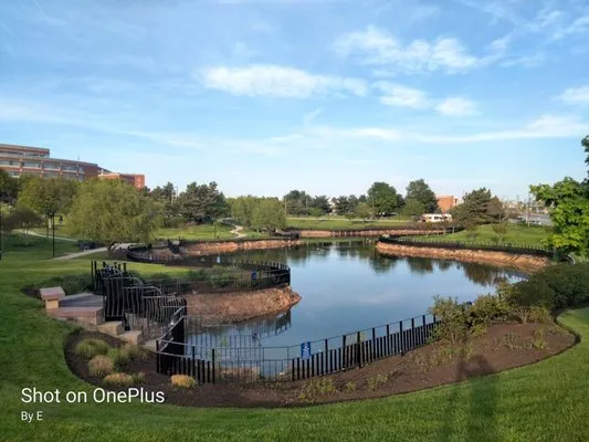 Eriks lawn care Logo