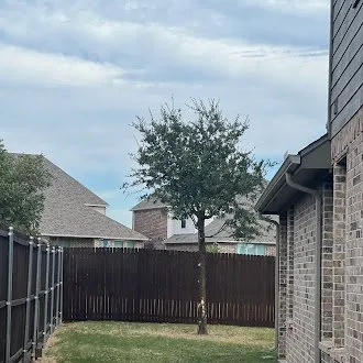 Local yard maintenance experts serving Frisco, TX - Erik's Tree & Lawn Care Services