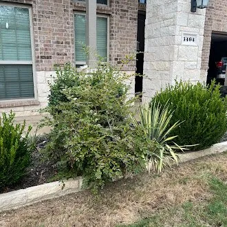 Affordable landscaping services experts serving Frisco, TX - Erik's Tree & Lawn Care Services