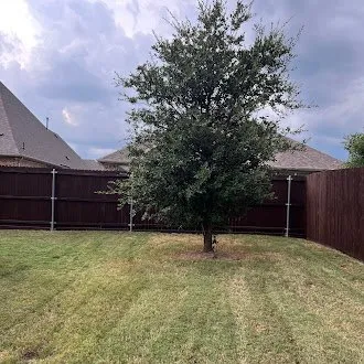 Custom landscape installation experts serving Frisco, TX - Erik's Tree & Lawn Care Services