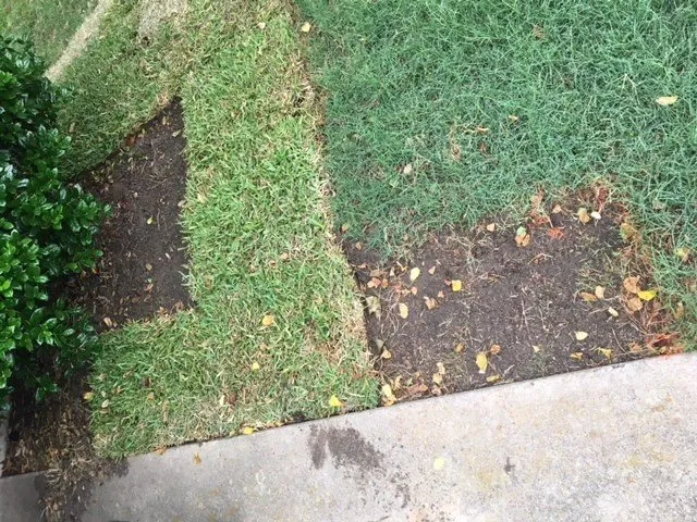 Affordable residential landscaping for outdoor upgrades in Frisco, TX by Erik's Tree & Lawn Care Services