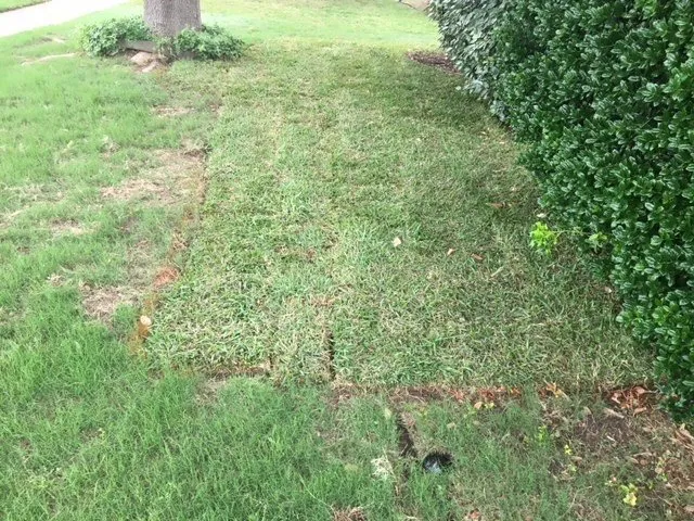 Custom landscape installation near you in Frisco, TX by Erik's Tree & Lawn Care Services